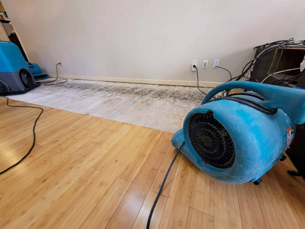Professional Emergency Water Damage technician working in Richland, WA